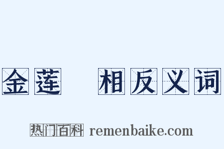 金莲寶相反义词是什么意思的图片